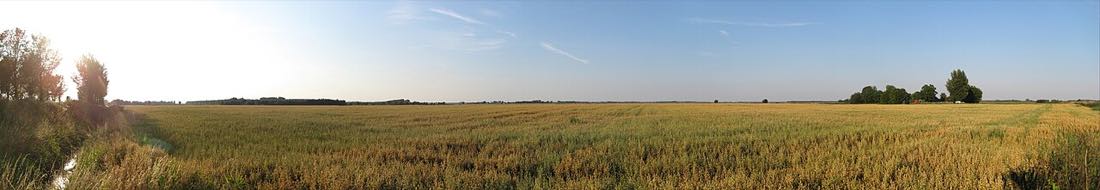 Groninger polderlandschap bij Slochteren