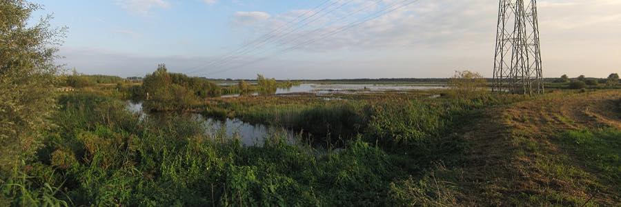 Wijds polderlandschap onder de Groninger lucht in Eemsdelta